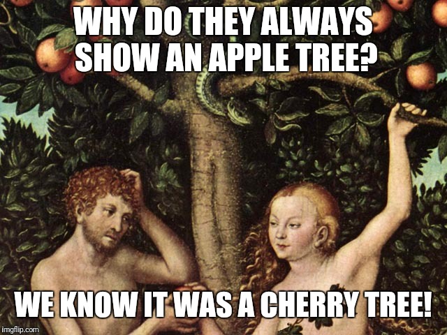 adam and eve | WHY DO THEY ALWAYS SHOW AN APPLE TREE? WE KNOW IT WAS A CHERRY TREE! | image tagged in adam and eve | made w/ Imgflip meme maker