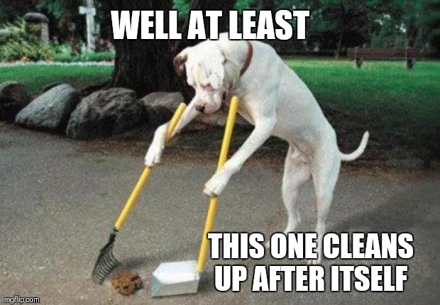 Dog poop | WELL AT LEAST THIS ONE CLEANS UP AFTER ITSELF | image tagged in dog poop | made w/ Imgflip meme maker