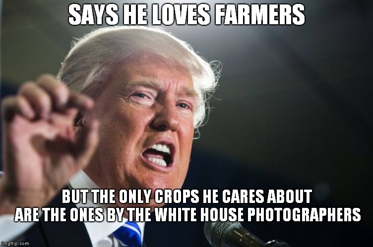 Trump Cost Soybean Farmers Billion$, Then Proposes A $12 Billion Bailout To Cover The Losses Caused By: TRUMP | SAYS HE LOVES FARMERS; BUT THE ONLY CROPS HE CARES ABOUT ARE THE ONES BY THE WHITE HOUSE PHOTOGRAPHERS | image tagged in donald trump | made w/ Imgflip meme maker