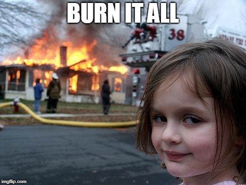 Disaster Girl Meme | BURN IT ALL | image tagged in memes,disaster girl | made w/ Imgflip meme maker