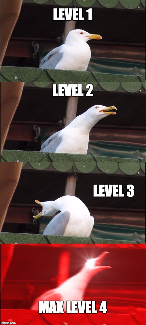 Level up | LEVEL 1; LEVEL 2; LEVEL 3; MAX LEVEL 4 | image tagged in memes,inhaling seagull | made w/ Imgflip meme maker