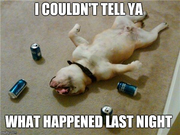 drunk dog | I COULDN'T TELL YA WHAT HAPPENED LAST NIGHT | image tagged in drunk dog | made w/ Imgflip meme maker