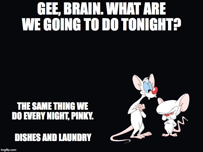 Dishes and Laundry | GEE, BRAIN. WHAT ARE WE GOING TO DO TONIGHT? THE SAME THING WE DO EVERY NIGHT, PINKY. DISHES AND LAUNDRY | image tagged in pinky and the brain,dishes,laundry,parenting,dad life,mom life | made w/ Imgflip meme maker