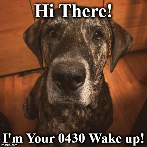 Hi There! I'm Your 0430 Wake up! | image tagged in g | made w/ Imgflip meme maker