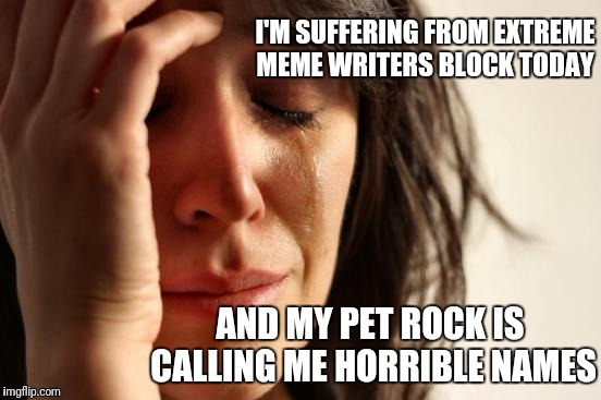 First world depression  | I'M SUFFERING FROM EXTREME MEME WRITERS BLOCK TODAY; AND MY PET ROCK IS CALLING ME HORRIBLE NAMES | image tagged in memes,first world problems,pets,depressed,dogs,funny | made w/ Imgflip meme maker