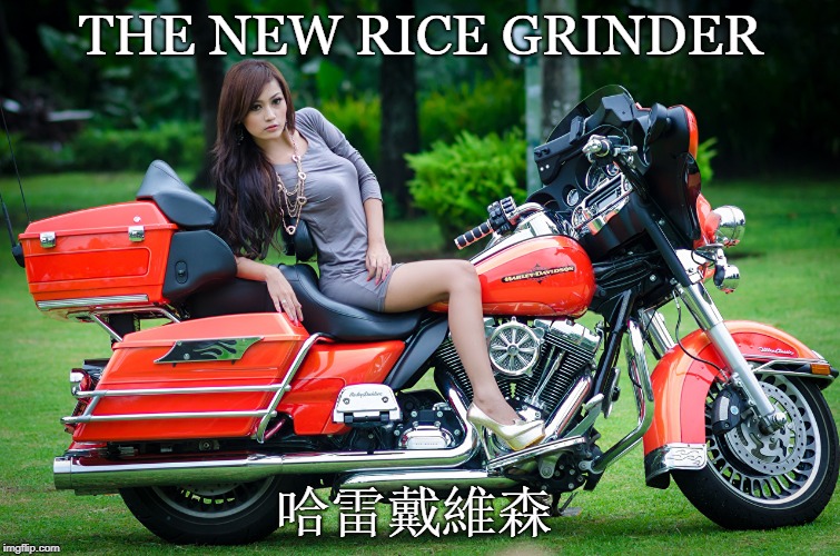 Harley-Davidson Woo | THE NEW RICE GRINDER; 哈雷戴維森 | image tagged in harley davidson,funny,motorcycle,funny memes,made in china,made in usa | made w/ Imgflip meme maker