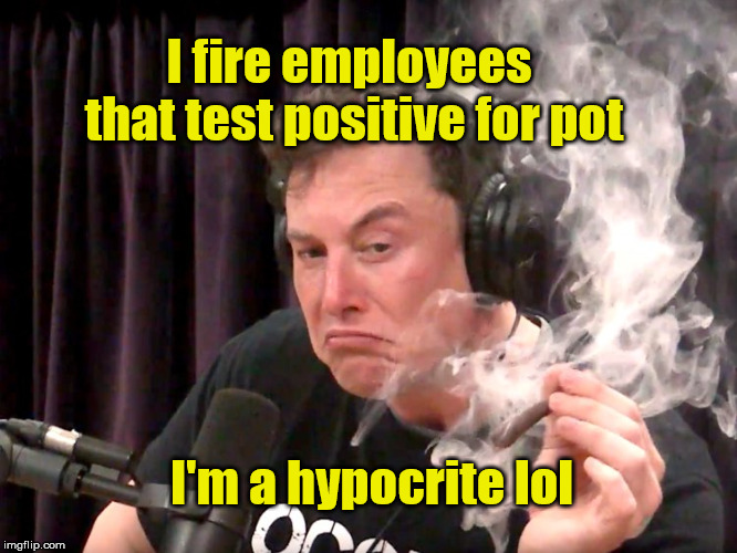 Elon Musk Weed | I fire employees that test positive for pot; I'm a hypocrite lol | image tagged in elon musk weed,legalize weed | made w/ Imgflip meme maker
