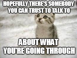Sad Cat Meme | HOPEFULLY THERE'S SOMEBODY YOU CAN TRUST TO TALK TO ABOUT WHAT YOU'RE GOING THROUGH | image tagged in memes,sad cat | made w/ Imgflip meme maker