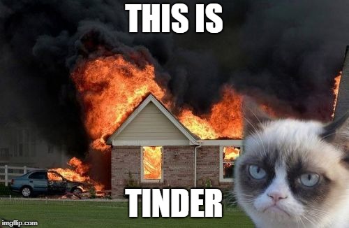 Burn Kitty Meme | THIS IS TINDER | image tagged in memes,burn kitty,grumpy cat | made w/ Imgflip meme maker