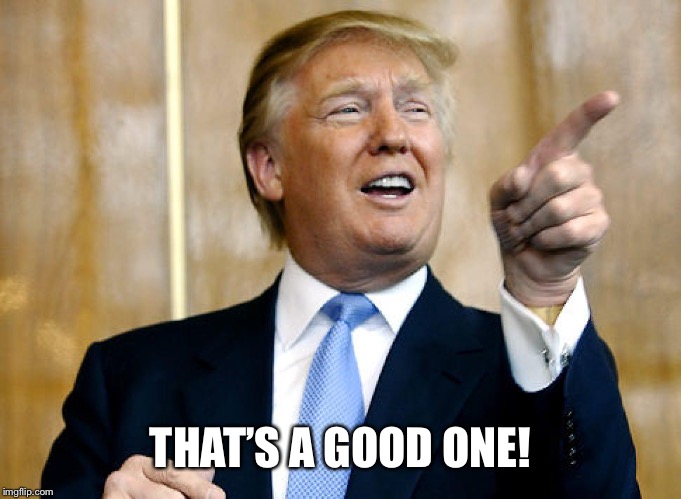 Donald Trump Pointing | THAT’S A GOOD ONE! | image tagged in donald trump pointing | made w/ Imgflip meme maker