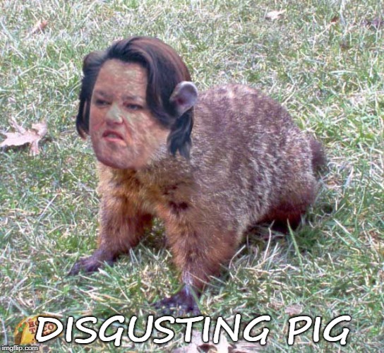 disgusting pig | DISGUSTING PIG | image tagged in rosie | made w/ Imgflip meme maker