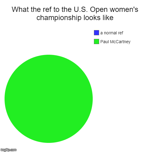 What the ref to the U.S. Open women's championship looks like | Paul McCartney, a normal ref | image tagged in funny,pie charts | made w/ Imgflip chart maker