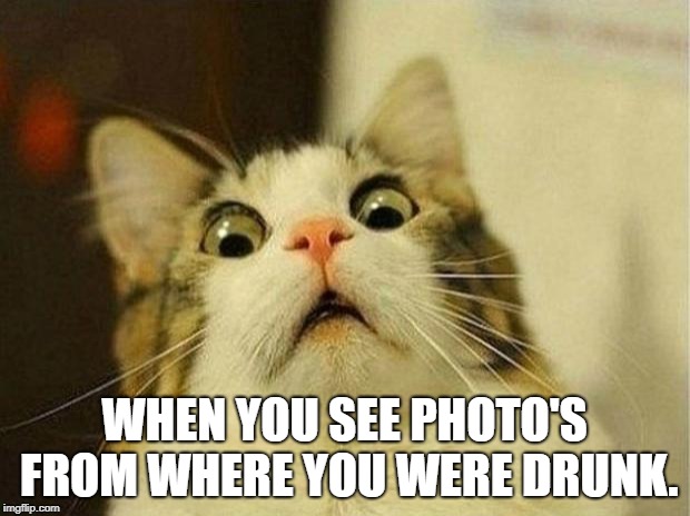 Scared Cat | WHEN YOU SEE PHOTO'S FROM WHERE YOU WERE DRUNK. | image tagged in memes,scared cat | made w/ Imgflip meme maker