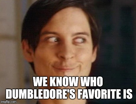 Spiderman Peter Parker Meme | WE KNOW WHO DUMBLEDORE'S FAVORITE IS | image tagged in memes,spiderman peter parker | made w/ Imgflip meme maker