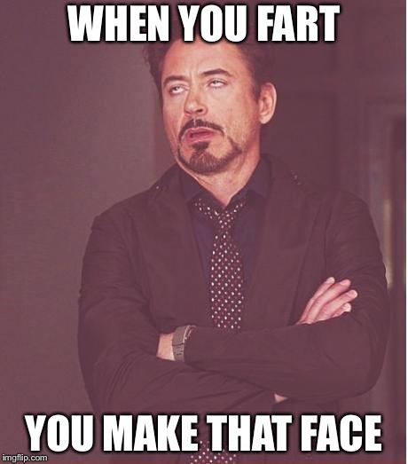 Face You Make Robert Downey Jr Meme | WHEN YOU FART; YOU MAKE THAT FACE | image tagged in memes,face you make robert downey jr | made w/ Imgflip meme maker