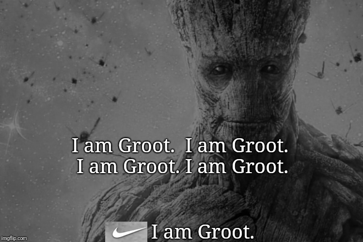 I am Groot | I am Groot. 
I am Groot. I am Groot. I am Groot. I am Groot. | image tagged in nike,nike boycott,meme,political meme,guardians of the galaxy,colin kaepernick | made w/ Imgflip meme maker