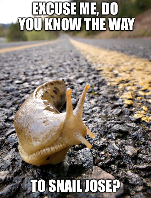 EXCUSE ME, DO YOU KNOW THE WAY; TO SNAIL JOSE? | image tagged in memes,do you know the way | made w/ Imgflip meme maker