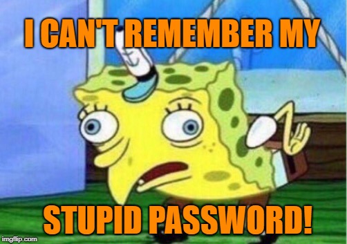Mocking Spongebob Meme | I CAN'T REMEMBER MY STUPID PASSWORD! | image tagged in memes,mocking spongebob | made w/ Imgflip meme maker