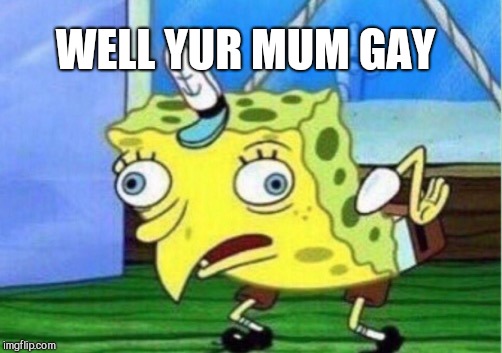 Mocking Spongebob Meme | WELL YUR MUM GAY | image tagged in memes,mocking spongebob | made w/ Imgflip meme maker