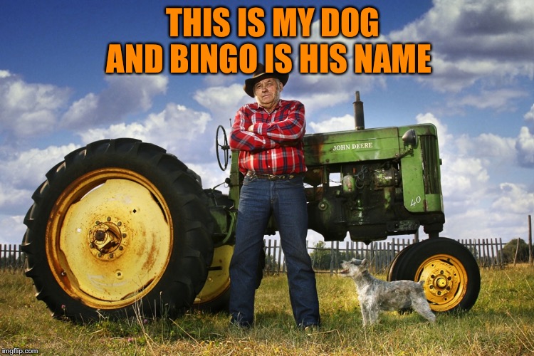 THIS IS MY DOG AND BINGO IS HIS NAME | made w/ Imgflip meme maker