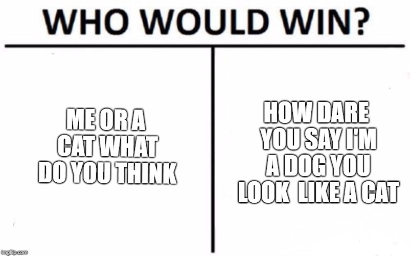 Who Would Win? Meme | ME OR A CAT WHAT DO YOU THINK; HOW DARE YOU SAY I'M A DOG YOU LOOK  LIKE A CAT | image tagged in memes,who would win | made w/ Imgflip meme maker
