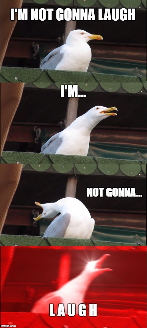 Inhaling Seagull Meme | I'M NOT GONNA LAUGH; I'M... NOT GONNA... L A U G H | image tagged in memes,inhaling seagull | made w/ Imgflip meme maker
