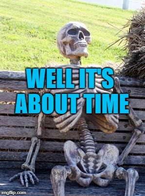 Waiting Skeleton Meme | WELL IT'S ABOUT TIME | image tagged in memes,waiting skeleton | made w/ Imgflip meme maker