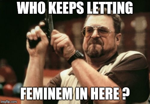 Am I The Only One Around Here Meme | WHO KEEPS LETTING FEMINEM IN HERE ? | image tagged in memes,am i the only one around here | made w/ Imgflip meme maker