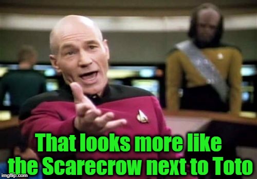Picard Wtf Meme | That looks more like the Scarecrow next to Toto | image tagged in memes,picard wtf | made w/ Imgflip meme maker