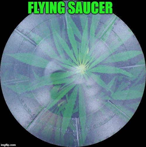 FLYING SAUCER | made w/ Imgflip meme maker