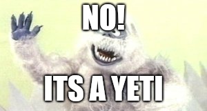 Bumble the Yeti | NO! ITS A YETI | image tagged in bumble the yeti | made w/ Imgflip meme maker