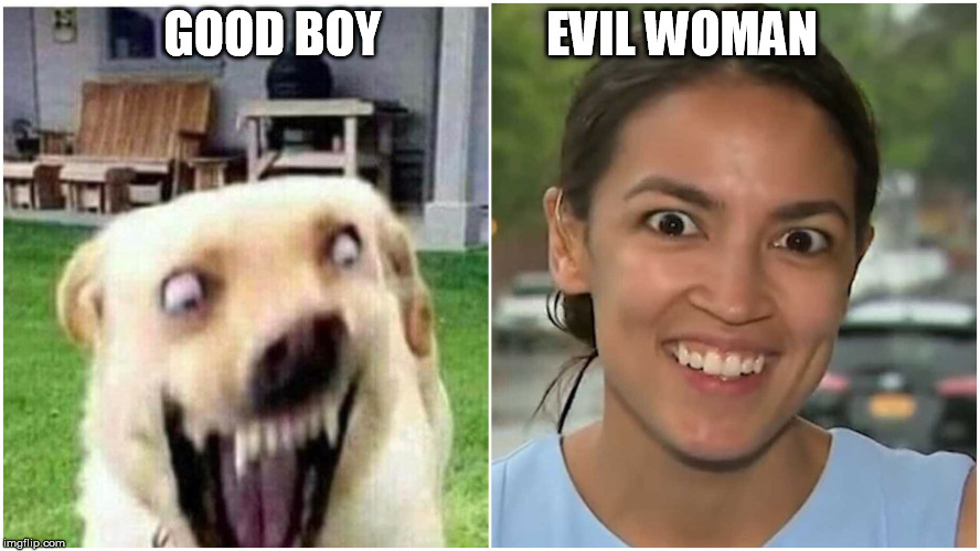 Good Boy Evil Woman | GOOD BOY                 EVIL WOMAN | made w/ Imgflip meme maker