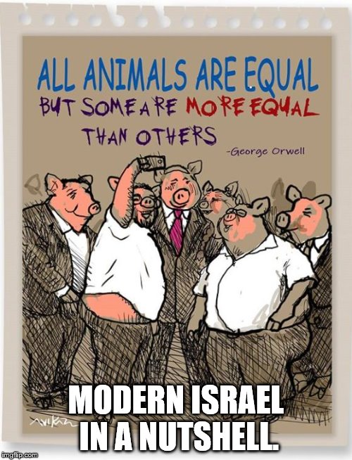 MODERN ISRAEL IN A NUTSHELL. | image tagged in nation-state law jews israel selfie avi katz | made w/ Imgflip meme maker