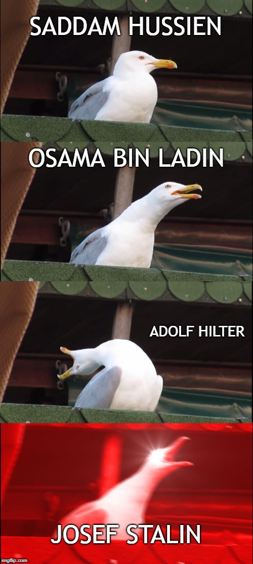 Inhaling Seagull Meme | SADDAM HUSSIEN; OSAMA BIN LADIN; ADOLF HILTER; JOSEF STALIN | image tagged in memes,inhaling seagull | made w/ Imgflip meme maker