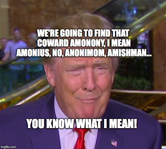 The Hunt For Anonymous | WE'RE GOING TO FIND THAT COWARD AMONONY, I MEAN AMONIUS, NO, ANONIMOM, AMISHMAN... YOU KNOW WHAT I MEAN! | image tagged in anonymous,anonymous editorial,bobcrespodotcom,trump | made w/ Imgflip meme maker