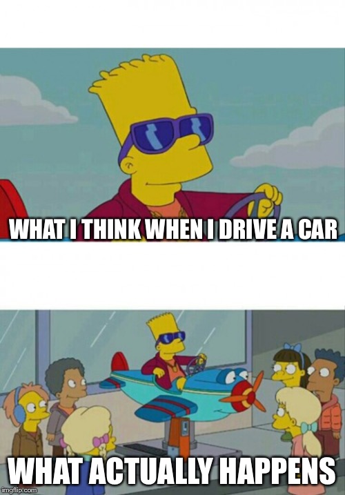 Lol | WHAT I THINK WHEN I DRIVE A CAR; WHAT ACTUALLY HAPPENS | image tagged in bart plane meme,expectation vs reality,driving,memes | made w/ Imgflip meme maker