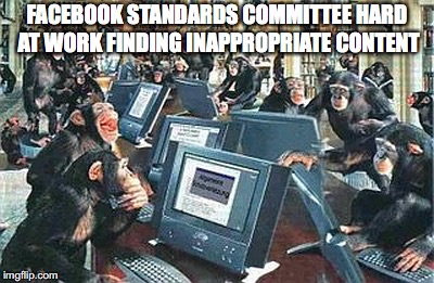 monkeys computers | FACEBOOK STANDARDS COMMITTEE HARD AT WORK FINDING INAPPROPRIATE CONTENT | image tagged in monkeys computers | made w/ Imgflip meme maker