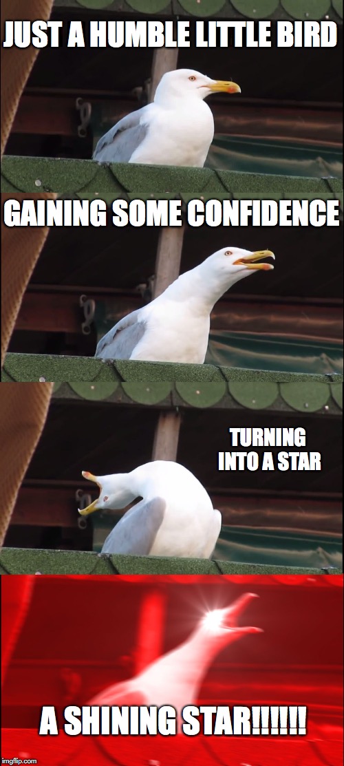 Inhaling Seagull | JUST A HUMBLE LITTLE BIRD; GAINING SOME CONFIDENCE; TURNING INTO A STAR; A SHINING STAR!!!!!! | image tagged in memes,inhaling seagull | made w/ Imgflip meme maker