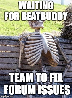 Waiting Skeleton Meme |  WAITING FOR BEATBUDDY; TEAM TO FIX FORUM ISSUES | image tagged in memes,waiting skeleton | made w/ Imgflip meme maker