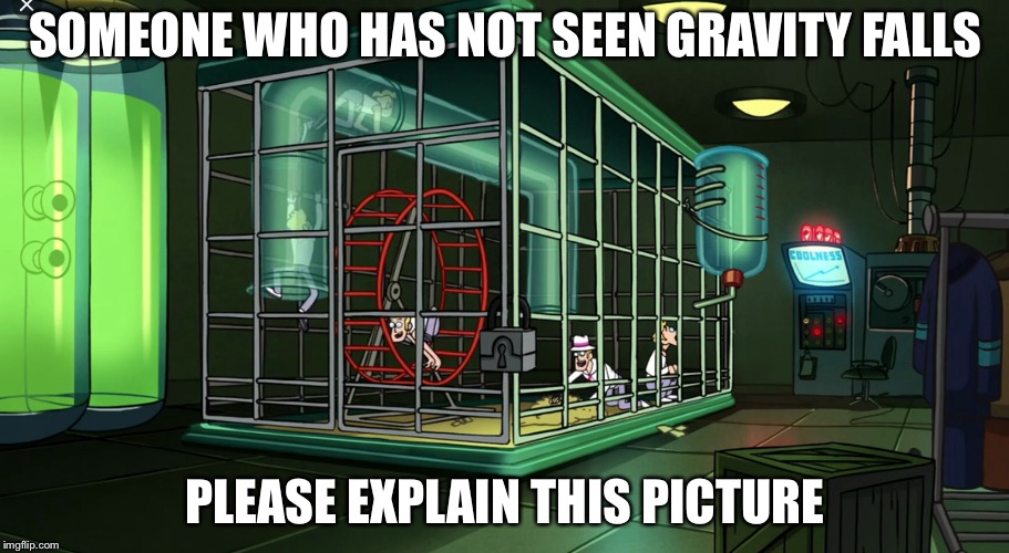 Please explain this picture |  SOMEONE WHO HAS NOT SEEN GRAVITY FALLS; PLEASE EXPLAIN THIS PICTURE | image tagged in gravity falls | made w/ Imgflip meme maker