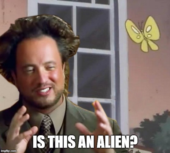 Is This A Pigeon | IS THIS AN ALIEN? | image tagged in memes,is this a pigeon,ancient aliens | made w/ Imgflip meme maker
