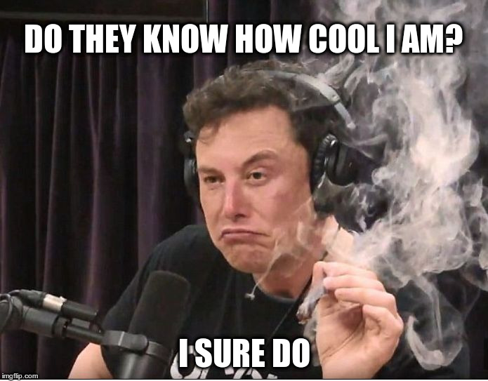 Elon Musk: Looking Cool Man! | DO THEY KNOW HOW COOL I AM? I SURE DO | image tagged in elon musk,smoking a joint,tesla stock,up in smoke | made w/ Imgflip meme maker