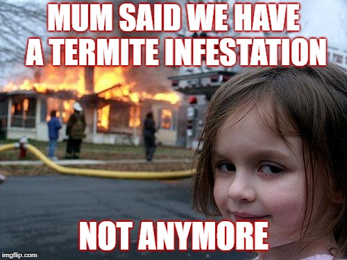 Disaster Girl | MUM SAID WE HAVE A TERMITE INFESTATION; NOT ANYMORE | image tagged in memes,disaster girl | made w/ Imgflip meme maker