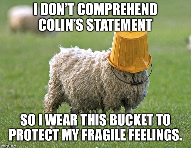 stupid sheep | I DON’T COMPREHEND COLIN’S STATEMENT; SO I WEAR THIS BUCKET TO PROTECT MY FRAGILE FEELINGS. | image tagged in stupid sheep | made w/ Imgflip meme maker