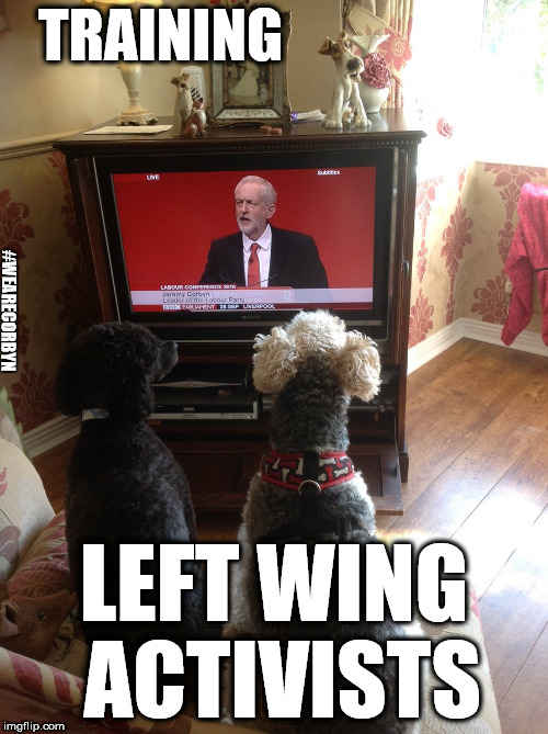 Corbyn - call off your dogs | TRAINING; #WEARECORBYN; LEFT WING ACTIVISTS | image tagged in corbyn eww,chuka umunna,party of haters,anti-semite and a racist,mcdonnell abbott,momentum students | made w/ Imgflip meme maker