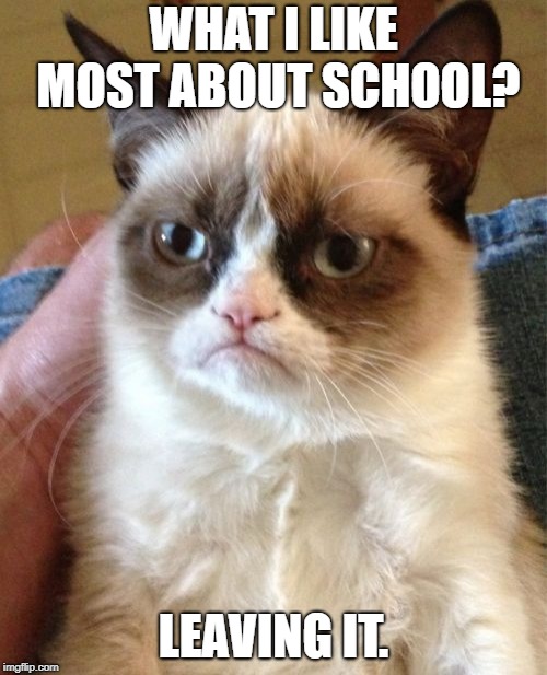 Grumpy Cat School | WHAT I LIKE MOST ABOUT SCHOOL? LEAVING IT. | image tagged in memes,grumpy cat,school | made w/ Imgflip meme maker