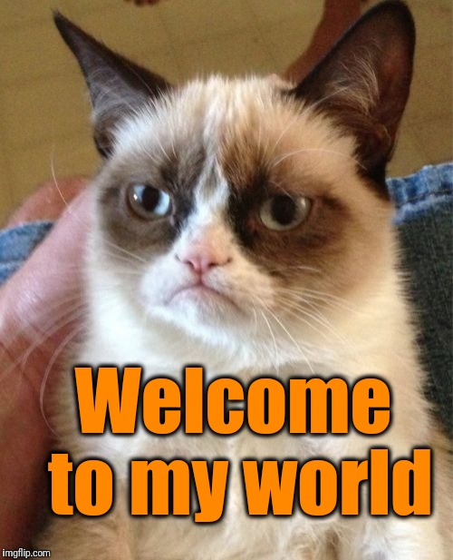 Grumpy Cat Meme | Welcome to my world | image tagged in memes,grumpy cat | made w/ Imgflip meme maker