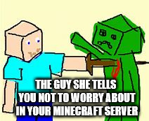 An Average Day In Your Minecraft Server | THE GUY SHE TELLS YOU NOT TO WORRY ABOUT IN YOUR MINECRAFT SERVER | image tagged in too much minecraft | made w/ Imgflip meme maker