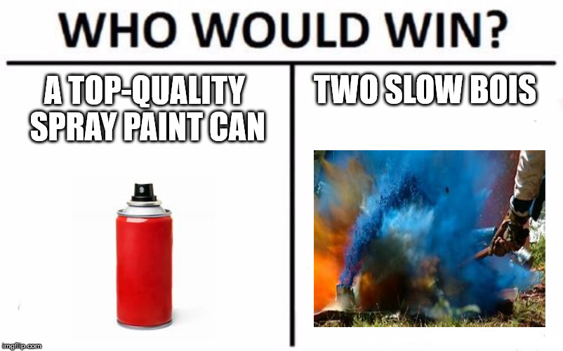 Who Would Win? Meme | TWO SLOW BOIS; A TOP-QUALITY SPRAY PAINT CAN | image tagged in memes,who would win | made w/ Imgflip meme maker