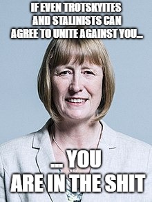 Joan Ryan | IF EVEN TROTSKYITES AND STALINISTS CAN AGREE TO UNITE AGAINST YOU... ... YOU ARE IN THE SHIT | image tagged in political meme | made w/ Imgflip meme maker